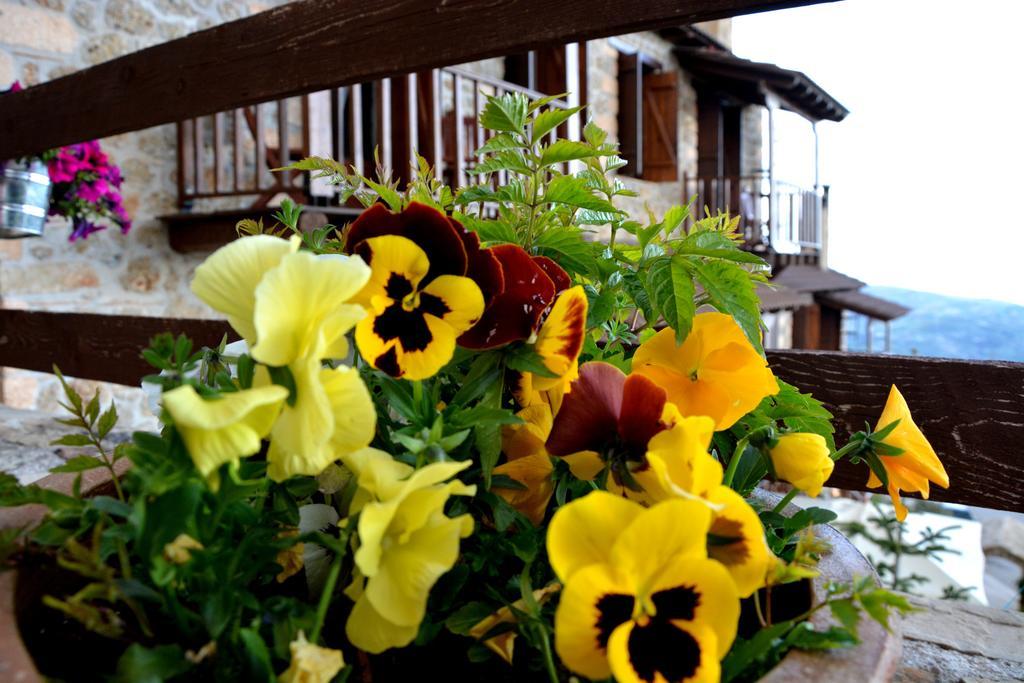 Nymfes Guesthouse Synikia Mesi Trikalon Kamer foto