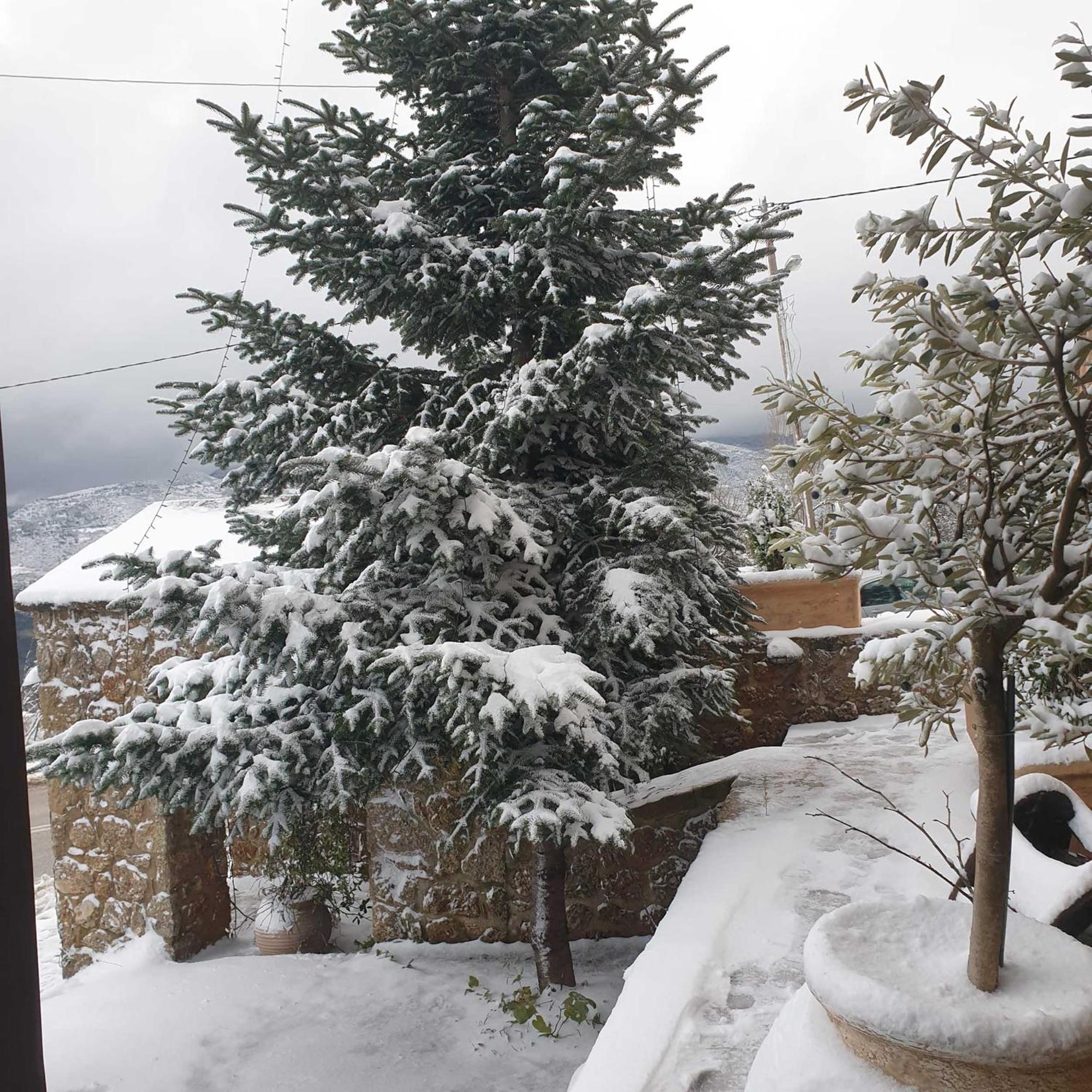 Nymfes Guesthouse Synikia Mesi Trikalon Buitenkant foto
